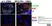 Anti Mouse CD169 antibody, clone 3D6.112 thumbnail image 13