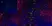 Anti Mouse CD169 antibody, clone 3D6.112 thumbnail image 5