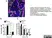 Anti Mouse CD169 antibody, clone 3D6.112 thumbnail image 7