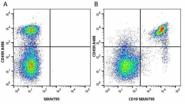 Anti Mouse CD19 Antibody, clone 6D5 gallery image 10