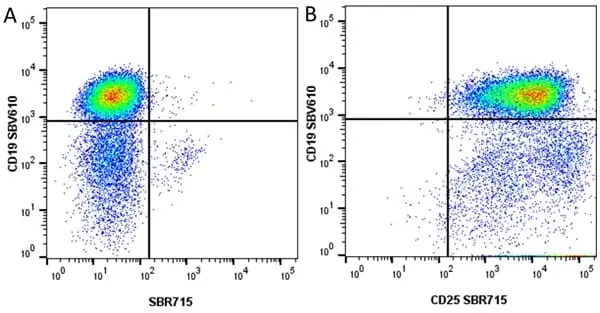 Anti Mouse CD19 Antibody, clone 6D5 gallery image 100