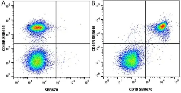 Anti Mouse CD19 Antibody, clone 6D5 gallery image 101