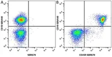 Anti Mouse CD19 Antibody, clone 6D5 gallery image 102