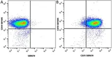 Anti Mouse CD19 Antibody, clone 6D5 gallery image 103