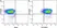 Anti Mouse CD19 Antibody, clone 6D5 thumbnail image 103