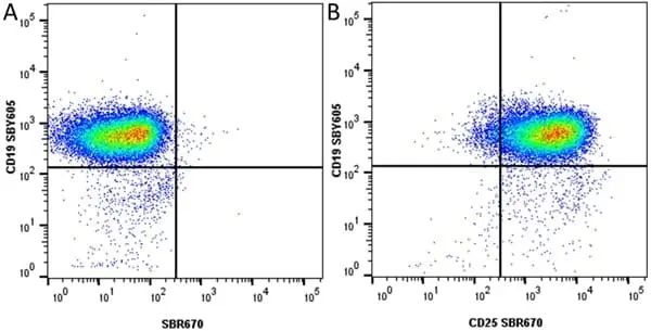Anti Mouse CD19 Antibody, clone 6D5 gallery image 103