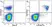 Anti Mouse CD19 Antibody, clone 6D5 thumbnail image 104
