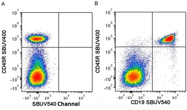Anti Mouse CD19 Antibody, clone 6D5 gallery image 106