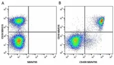 Anti Mouse CD19 Antibody, clone 6D5 gallery image 12