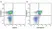 Anti Mouse CD19 Antibody, clone 6D5 thumbnail image 13
