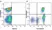 Anti Mouse CD19 Antibody, clone 6D5 thumbnail image 15