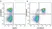Anti Mouse CD19 Antibody, clone 6D5 thumbnail image 18