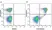 Anti Mouse CD19 Antibody, clone 6D5 thumbnail image 19