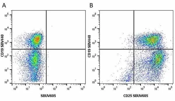 Anti Mouse CD19 Antibody, clone 6D5 gallery image 20