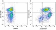 Anti Mouse CD19 Antibody, clone 6D5 gallery image 22
