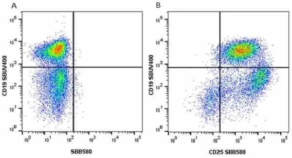 Anti Mouse CD19 Antibody, clone 6D5 gallery image 22