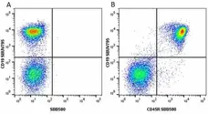 Anti Mouse CD19 Antibody, clone 6D5 gallery image 24