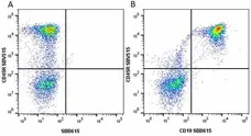 Anti Mouse CD19 Antibody, clone 6D5 gallery image 25