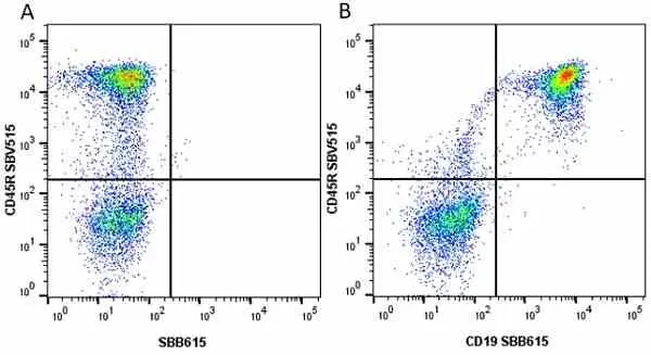Anti Mouse CD19 Antibody, clone 6D5 gallery image 25