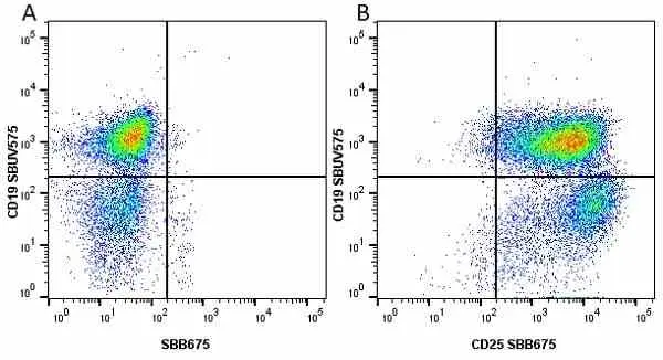 Anti Mouse CD19 Antibody, clone 6D5 gallery image 28
