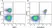 Anti Mouse CD19 Antibody, clone 6D5 thumbnail image 29