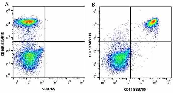 Anti Mouse CD19 Antibody, clone 6D5 gallery image 31