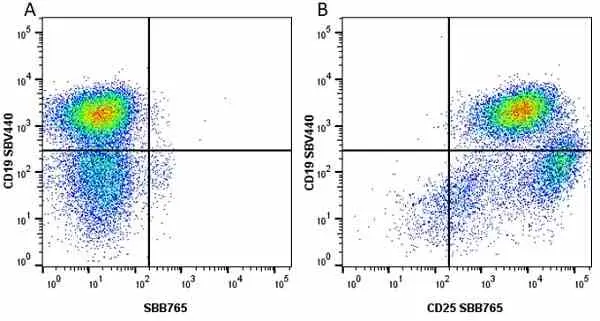 Anti Mouse CD19 Antibody, clone 6D5 gallery image 33