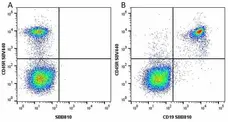 Anti Mouse CD19 Antibody, clone 6D5 gallery image 34