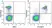 Anti Mouse CD19 Antibody, clone 6D5 thumbnail image 34