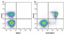 Anti Mouse CD19 Antibody, clone 6D5 gallery image 35