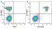 Anti Mouse CD19 Antibody, clone 6D5 thumbnail image 36