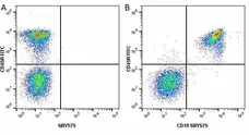 Anti Mouse CD19 Antibody, clone 6D5 gallery image 37
