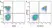 Anti Mouse CD19 Antibody, clone 6D5 thumbnail image 37