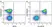 Anti Mouse CD19 Antibody, clone 6D5 thumbnail image 39