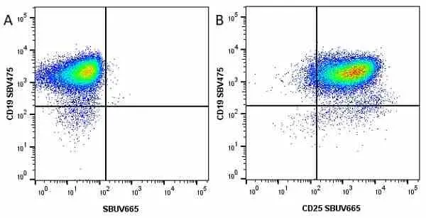 Anti Mouse CD19 Antibody, clone 6D5 gallery image 4