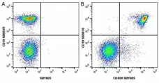 Anti Mouse CD19 Antibody, clone 6D5 gallery image 41