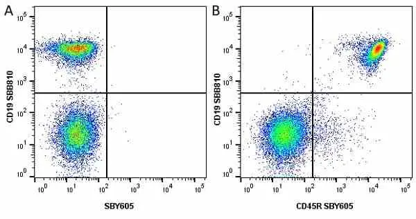 Anti Mouse CD19 Antibody, clone 6D5 gallery image 41