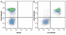 Anti Mouse CD19 Antibody, clone 6D5 gallery image 42