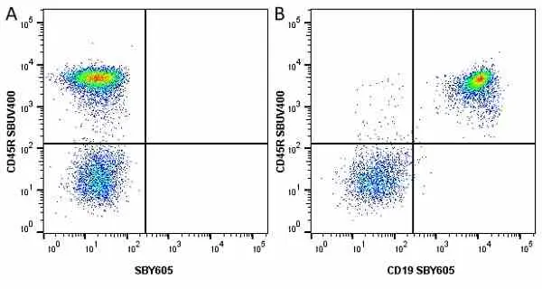 Anti Mouse CD19 Antibody, clone 6D5 gallery image 42