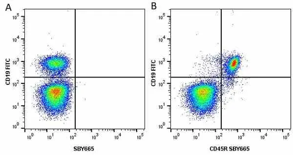 Anti Mouse CD19 Antibody, clone 6D5 gallery image 44