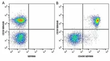 Anti Mouse CD19 Antibody, clone 6D5 gallery image 45