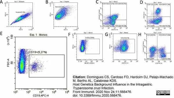 Anti Mouse CD19 Antibody, clone 6D5 gallery image 46