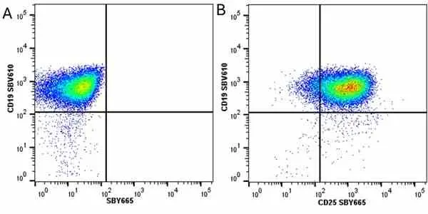Anti Mouse CD19 Antibody, clone 6D5 gallery image 49