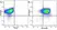 Anti Mouse CD19 Antibody, clone 6D5 thumbnail image 51