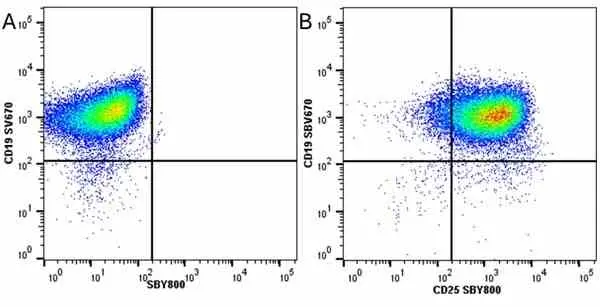 Anti Mouse CD19 Antibody, clone 6D5 gallery image 51