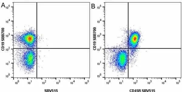 Anti Mouse CD19 Antibody, clone 6D5 gallery image 53