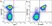 Anti Mouse CD19 Antibody, clone 6D5 thumbnail image 56