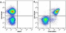 Anti Mouse CD19 Antibody, clone 6D5 gallery image 57