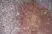 Anti Mouse CD19 Antibody, clone 6D5 thumbnail image 58