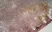 Anti Mouse CD19 Antibody, clone 6D5 thumbnail image 59